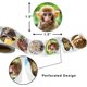 thumbnail image 3 of 633PCS - Juguete para gatos - Estilo bola de menta, 3 of 5