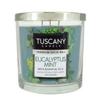 Eucalyptus Mint Long-Lasting Scented Jar Candle (14 oz)