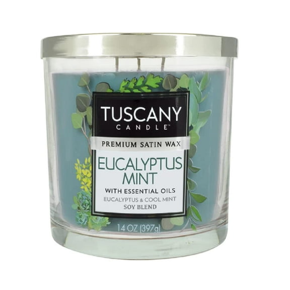 Eucalyptus Mint Long-Lasting Scented Jar Candle (14 oz)