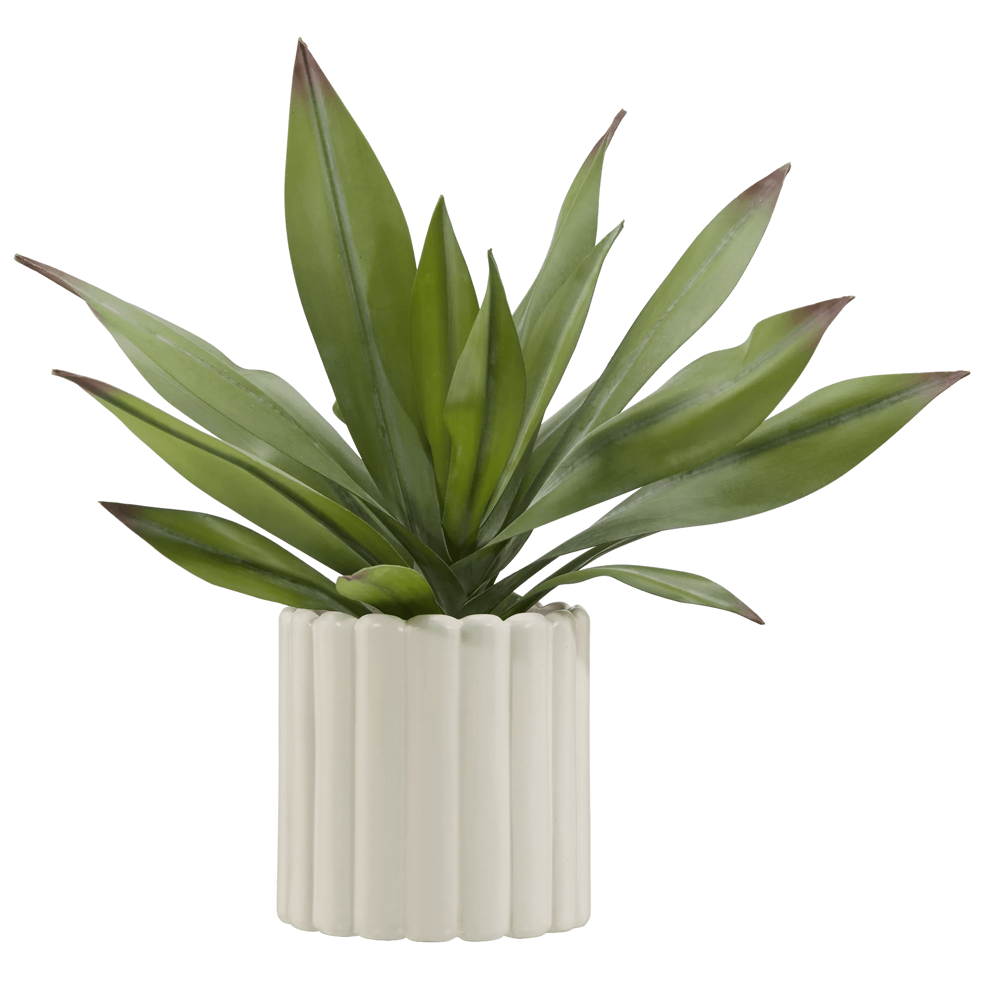 Bouclair Agave Artificielle BOUCLAIR AGAVE ARTIF EN POT