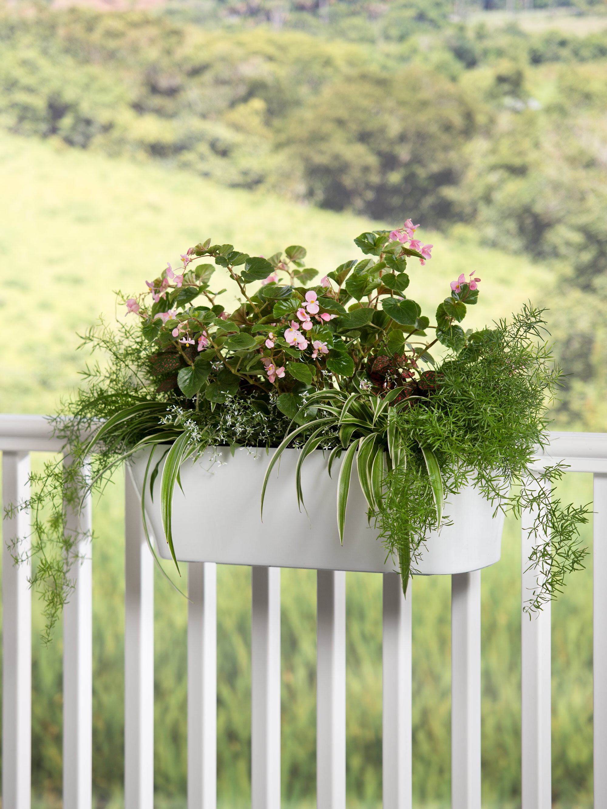 Viva SelfWatering Deck Railing Planter, 231/2” Walmart