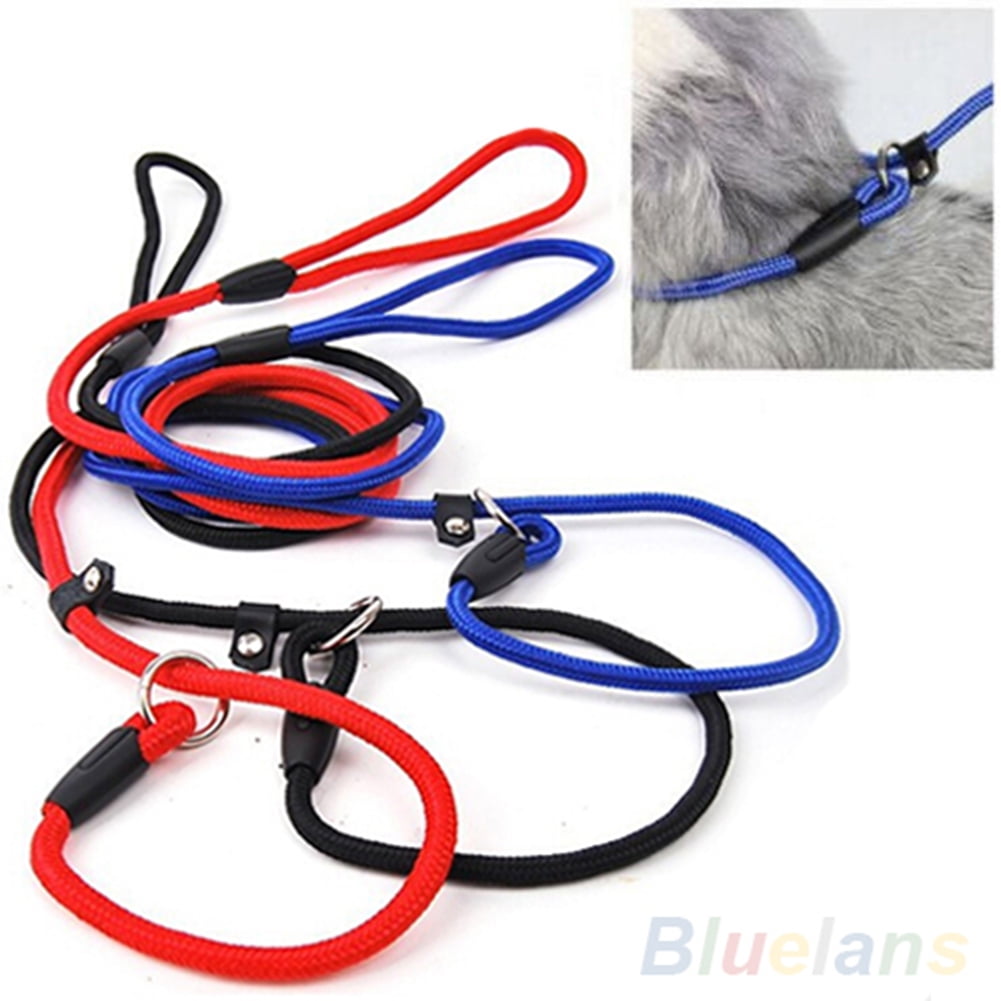 Red Adjustable Nylon Traction Rope Slip-Lead Training Leash Collar Pet Dog Small 