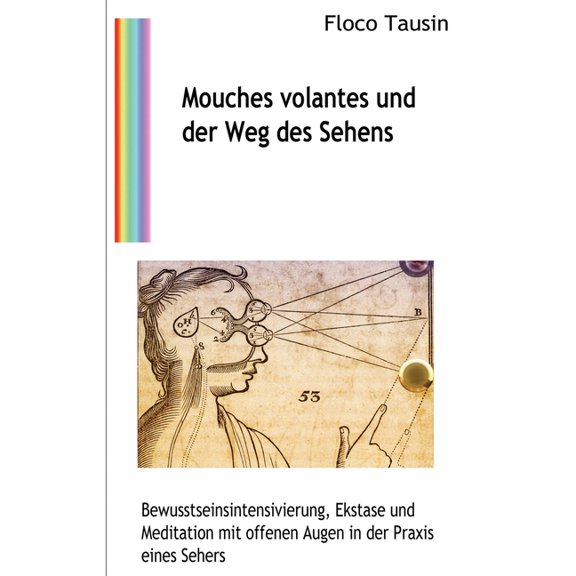 Mouches volantes und der Weg des Sehens: Bewusstseinsintensivierung, Ekstase und Meditation mit offenen Augen in der Pra, (Paperback)