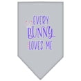 thumbnail image 2 of Pet and Dog Bandana Screen Printed, "Every Bunny Loves Me", 2 of 10