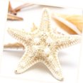 thumbnail image 4 of Natural Mixed Ocean Sea Shell Conch Set Diverse Styles Multi-purpose Fishbowl Aquarium Decoration Diy Photo Frame Decor Material, 4 of 8