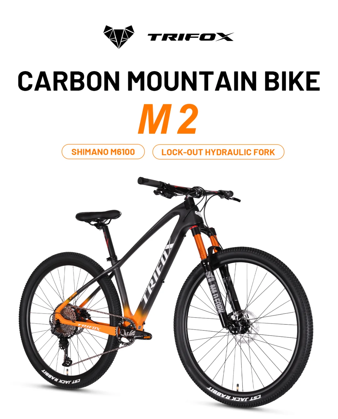 TRIFOX Carbon MTB Mountain Bike, New Upgraded T800 Full Carbon Fiber Frame Geometry with RD-M6100 12 Speed Derailleur System and Lock-Out Hydraulic Fork
