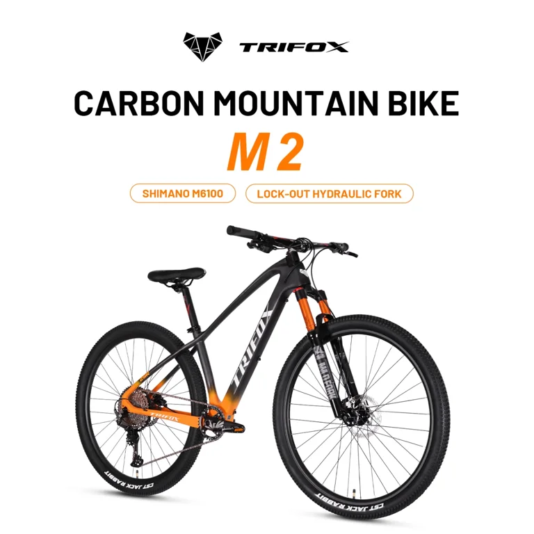 Geometric carbon mtb sale