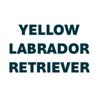 Labrador Retriever Yellow Pill Butter