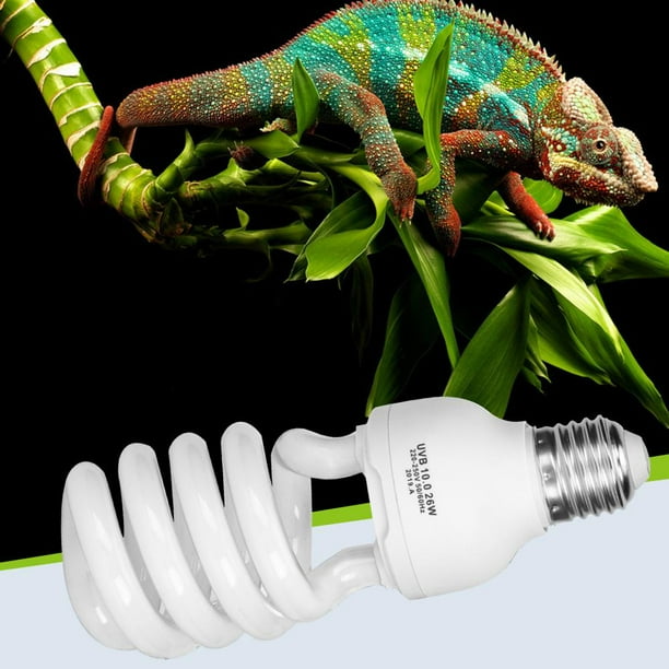 Desert top uvb bulb