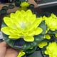 thumbnail image 5 of Luces solares para piscina, paquete de 1 flor flotante Hollandia para piscina, luces solares flotantes para piscina, luz solar LED flotante para estanque. Luz solar., 5 of 8