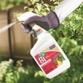 thumbnail image 2 of Bonide Bacillus Thuringiensis Insect Killer Spray - Liquid Insecticide - Quart, 2 of 4
