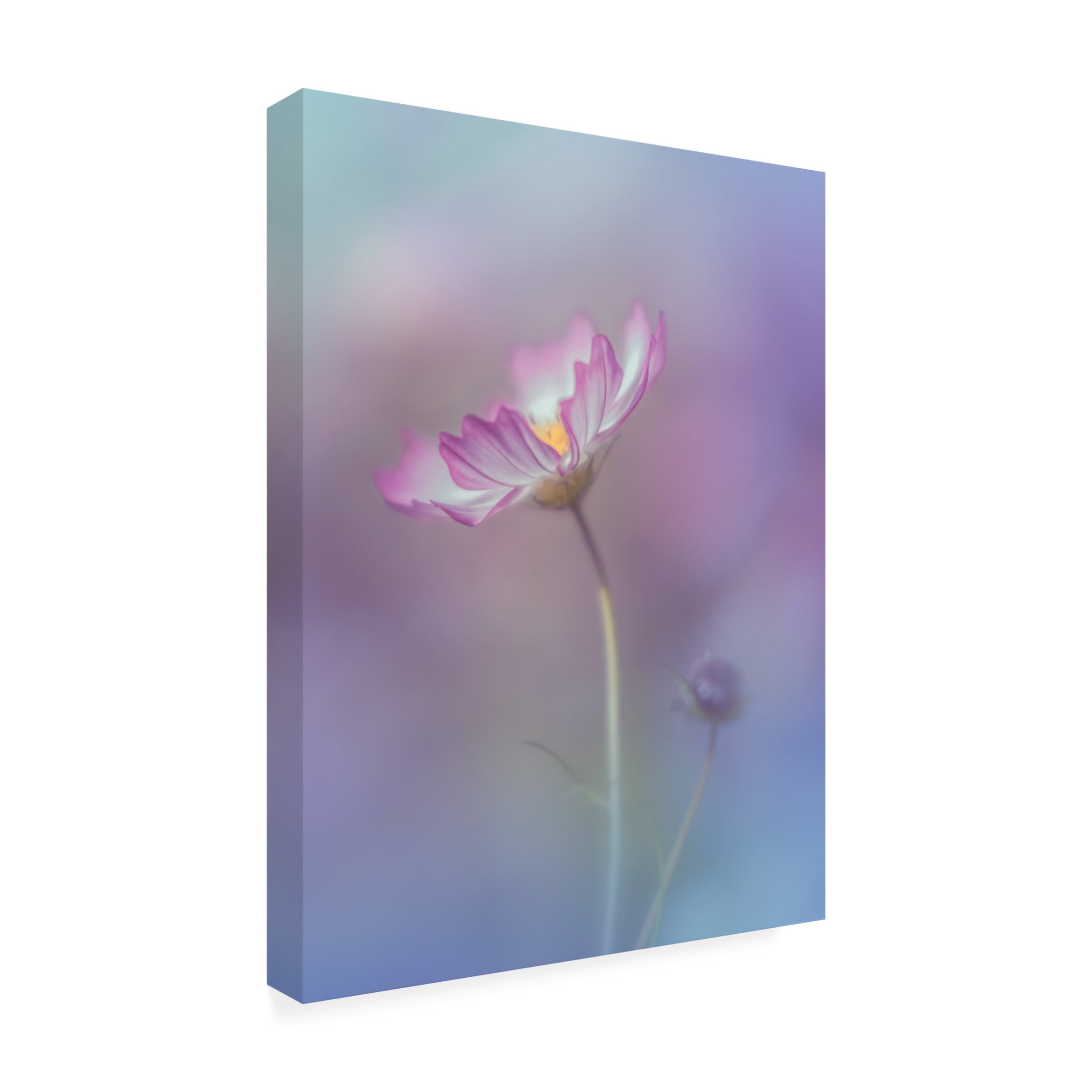 Canvas Wall Art - Miyako Koumura 'Pink Elegance' Wall Art for Living Room, Bedroom, or Office D?cor by Trademark Fine Art - 24 x 32 Inches
