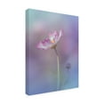 thumbnail image 3 of Canvas Wall Art - Miyako Koumura 'Pink Elegance' Wall Art for Living Room, Bedroom, or Office D?cor by Trademark Fine Art - 35 x 47 Inches, 3 of 4