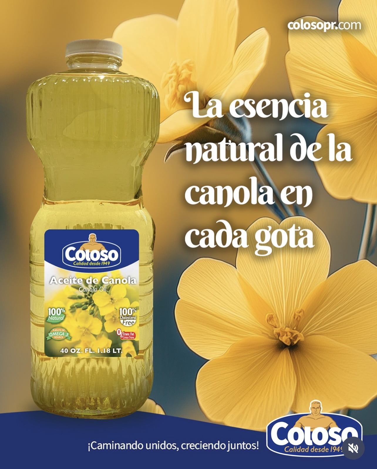 Coloso Canola Oil for Cooking 40oz Plastic Single Bottle