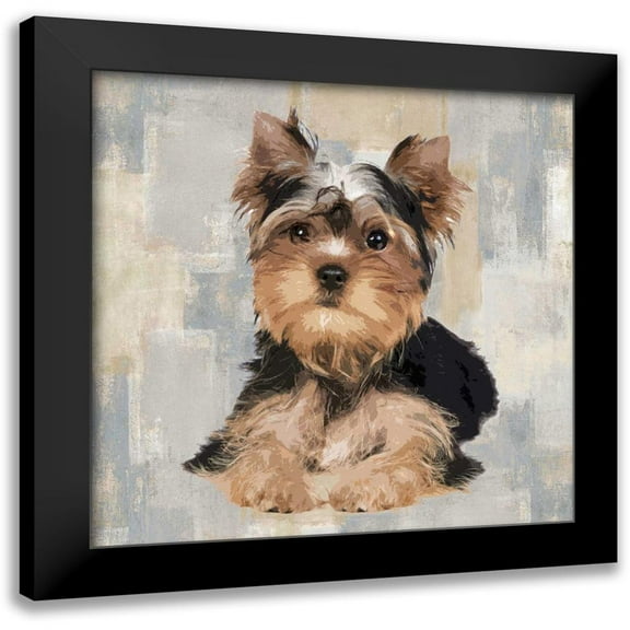 Rodgers, Keri 12x12 Black Modern Framed Museum Art Print Titled - Yorkshire Terrier