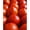 Early Girl Tomato, variant on Vegetable Garden Seeds for Planting - Grow Heirloom Vegetables (Rainbow Carrots)