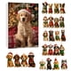 thumbnail image 4 of Calendario de Adviento Navideño para Amantes de Los Perros Yst250922002 | 24 Mini Adornos Festivos de Cachorros con Anillas para Colgar | Diseños de Corgi, Caniche y Beagle | Cuenta Regresiva para Na, 4 of 6