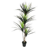 Artificial Potted Dracaena Marginata Tree 67in