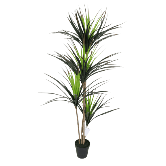 Artificial Potted Dracaena Marginata Tree 67in