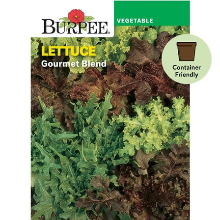 Burpee Gourmet Blend Lettuce Vegetable Seed, 1-Pack