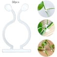 thumbnail image 3 of Plant Climbing Wall Fixture Clips 50Pcs Invisible Wall Vines Fixing Clips Wall Sticky Hook , Plant Climbing Wall Fixer with Self-Adhesive Hook ,Plant Clip Vines Holder for Home Decoration, 3 of 7