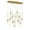 Brass Anodized Aluminum, variant on Eurofase Lighting - Barletta - 68W 12 LED Chandelier in Posh & Luxe Modern Style