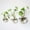 Clear, variant on Guanhe Wall Hanging Glass Terrariums Planter Oblate Flower Vase for Hydroponics Plants, Bathroom, Christmas Gifts Home Office Living Room Decor 4Inches
