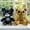 2PCS, variant on 2026 New Bear Plush Toys, Stuffed Animals Toys Bear Soft Pillow Toys, Cute Cartoon Dolls, Figurines, Gifts，Double, Best Birthday Gifts for Holiday Xmas Easter for Friend and Family (Bear, 2PCS)
