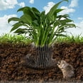 thumbnail image 6 of 2 Pcs Gopher Proof Wire Basket,Plant Root Guard Baskets, Stainless Steel Gopher and Vole Wire Baskets,Gopher Stainless Steel Mesh,Root Protector Baskets for for Plant Root Vegetables Protection, 6 of 7