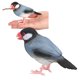 thumbnail image 5 of Figura De Pájaro, Modelo De Pájaro Vívido, Plástico Seguro Para Aprender, 5 of 8