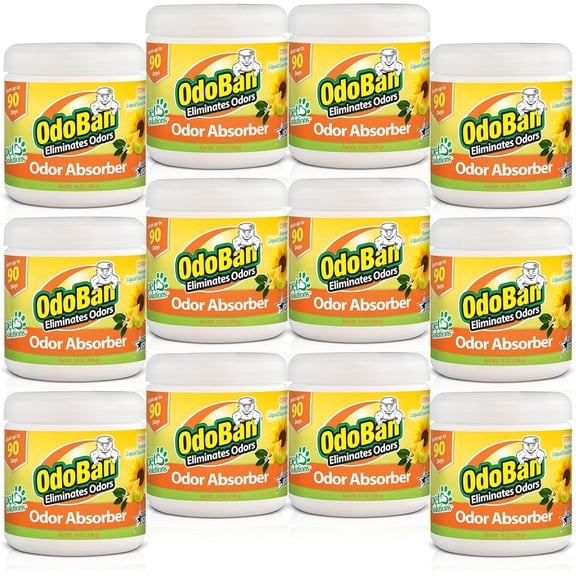 OdoBan Solid Odor Absorber Eliminator for Home and Small Spaces, Citrus Scent, 14 Ounces Each, 12-Pack
