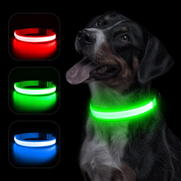 Bseen Light up Dog Collar Reflective LED Puppy Collar Rechargeable