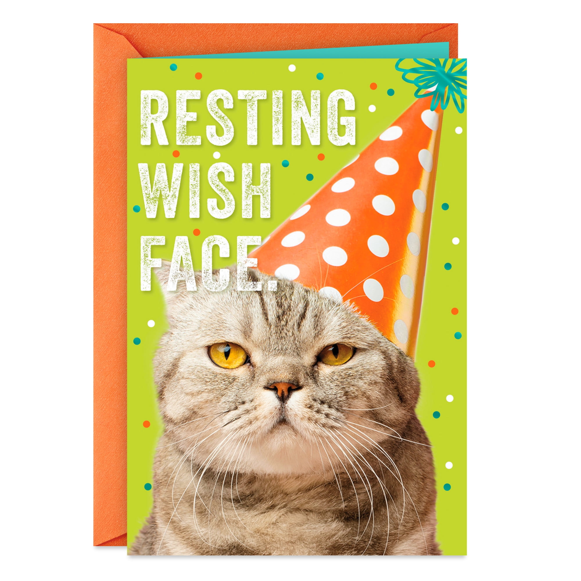 Hallmark Funny Birthday Card (Resting Wish Face)