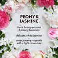thumbnail image 4 of Air Wick Essential Mist Fragrance Oil Diffuser Refill, Peony & Jasmine, 1 Count, Air Freshener, 4 of 9