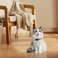 thumbnail image 1 of Collier pour Chat Haute Visibilité Réfléchissant Ajustable en Nylon Doux Collier pour Animal de Compagnie Sécuritaire pour la Nuit Marche Extérieure Léger Conception à Dégagement Rapide, 1 of 4