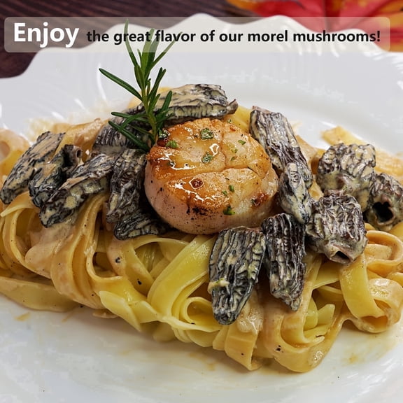 Premium Dried Morel Mushrooms – High-Aroma Whole Pieces with Short Stems, Gourmet Grade