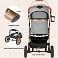 thumbnail image 6 of TLGREEN 4-Wheel Stable Pet Stroller for Medium Dogs/ Cats - 3-in-1 Convertible Design with Removable Carrier & One-Click Folding Mechanism (Grey), 6 of 10