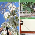 thumbnail image 2 of Heavy Duty 150ML Portable Manual Tube Powder Pollinator Adjustable Size Powder Applicator for Termite, 2 of 8