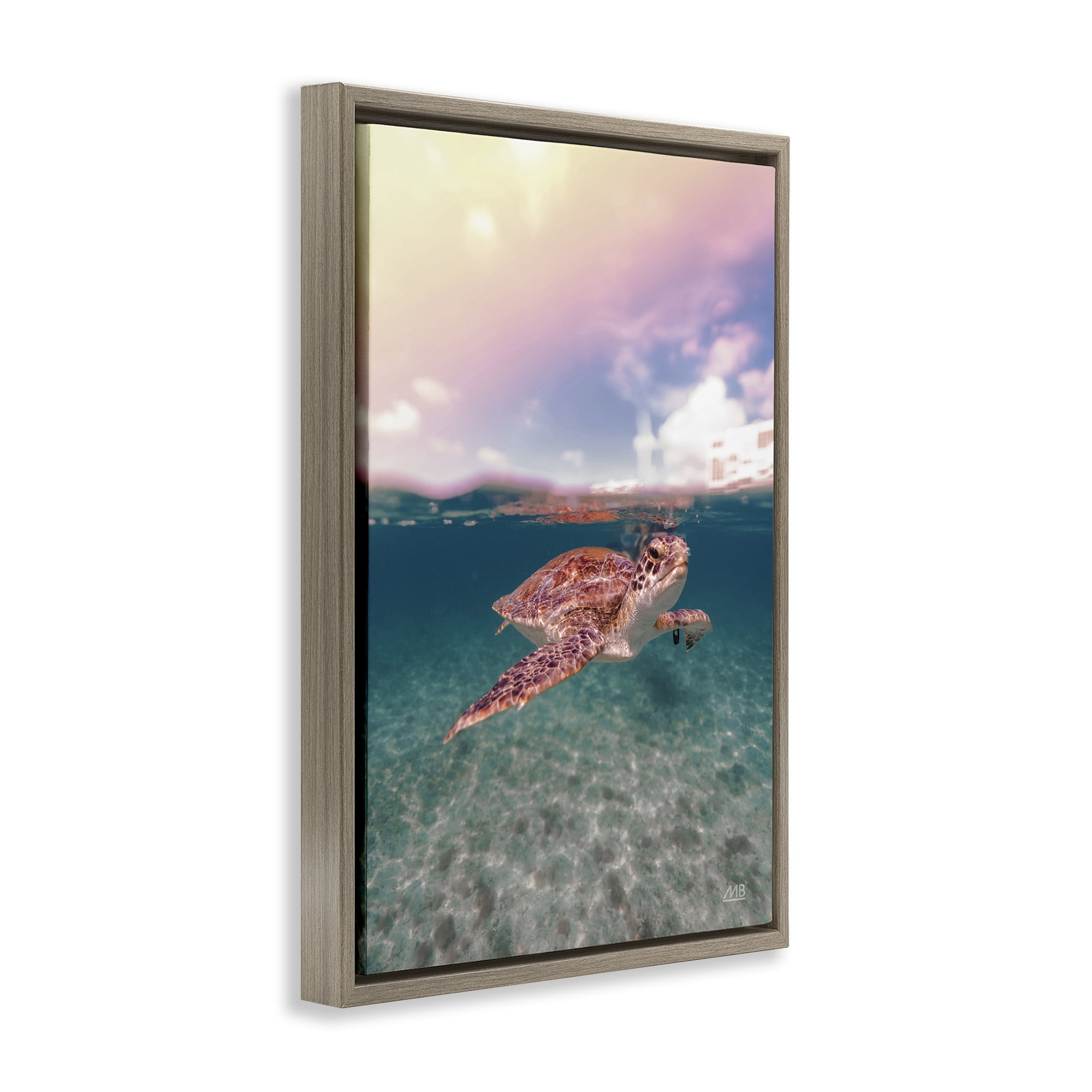 Stupell Industries Above & Below Sea Turtle Animals Photography Brown Floater Framed Canvas Art Print Wall Art, 21 x 31