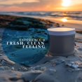 thumbnail image 5 of Vanmans - Handmade Coconut and Magnesium Deodorant - Routine Deodorant - Odor Control for Underarms - Magnesium Deodorant For Women and Men - Personal Care Products - 2.5 ounce, 5 of 5