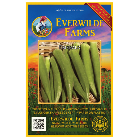 Everwilde Farms - 100 Emerald Okra Seeds - Gold Vault Jumbo Bulk Seed (Best Okra To Grow)