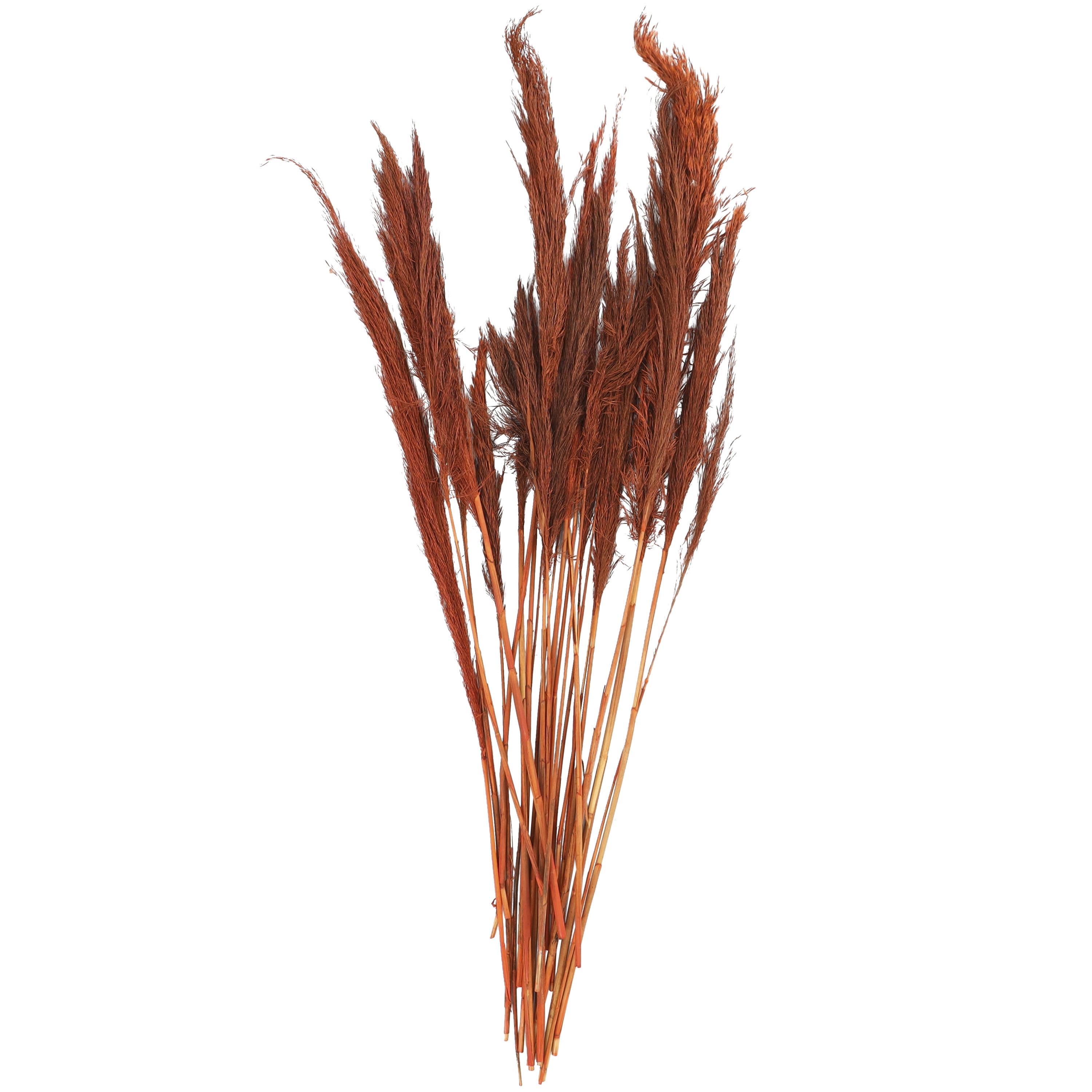 35" Tall Dried Plant Natural Foliage Pampas Grass Bouquet, by DecMode
