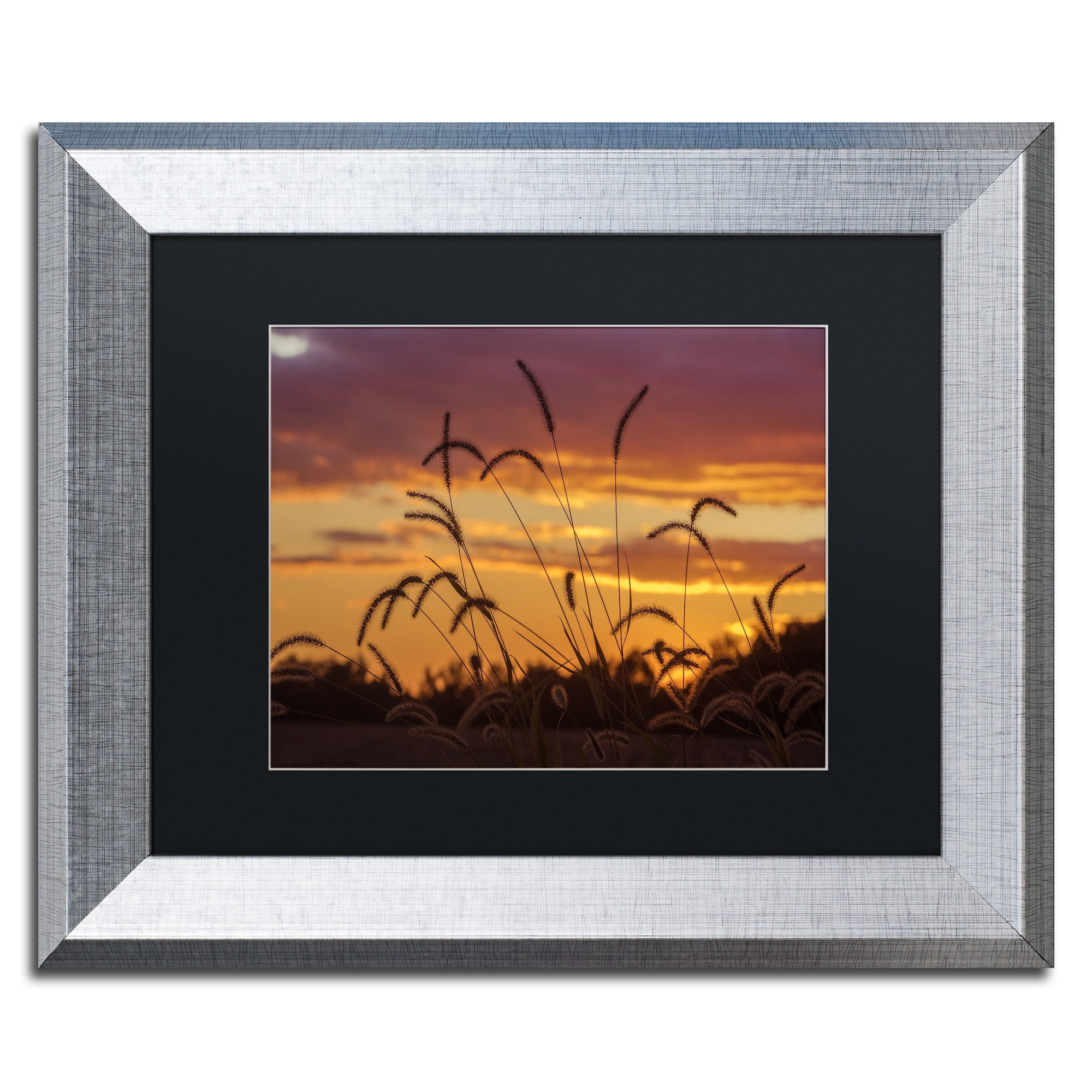 Trademark Fine Art "Weeds" Canvas Art by Jason Shaffer, Black Matte, Silver Frame