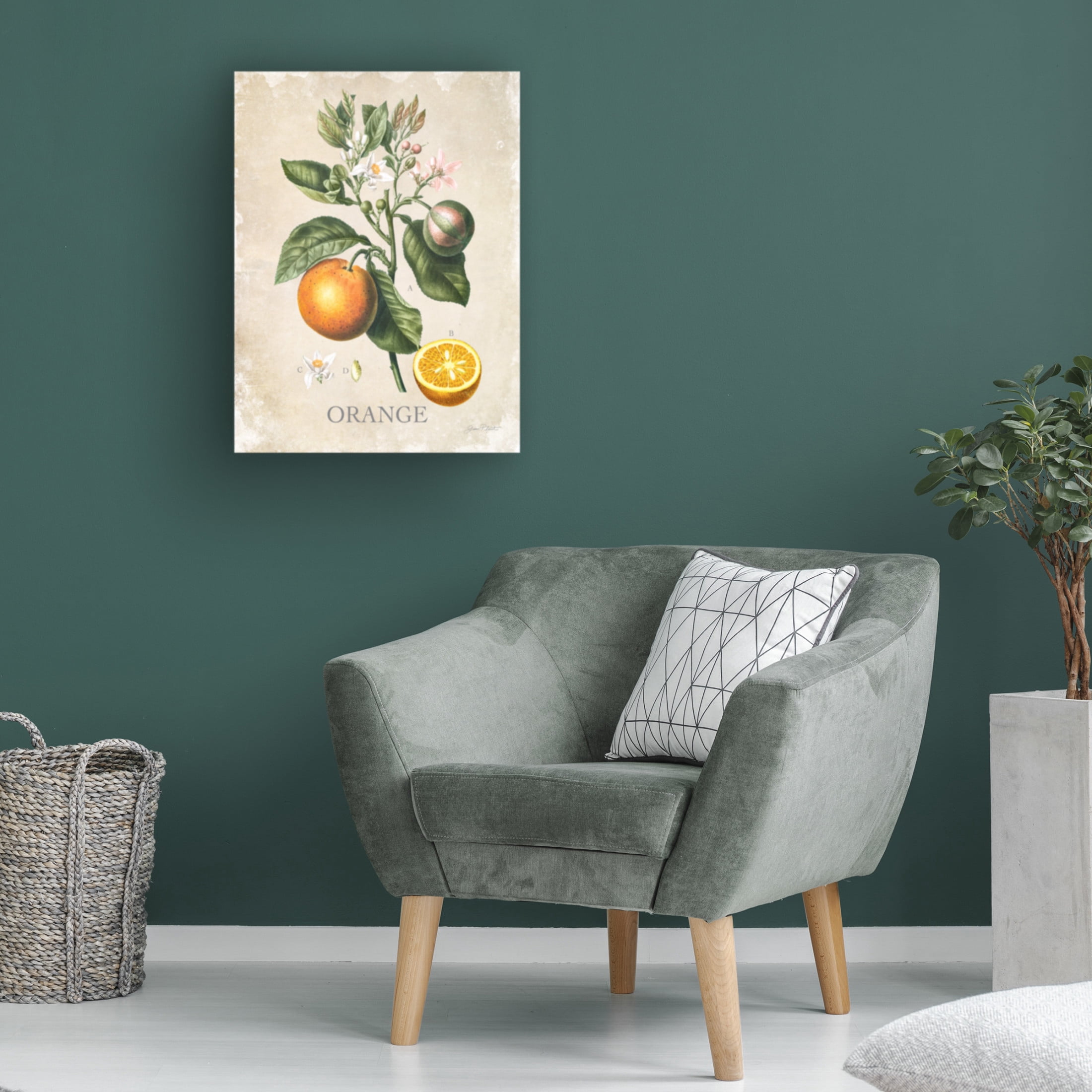 Canvas Wall Art - Jean Plout 'Luscious Fruit Study E' Wall Art for Living Room, Bedroom, or Office Décor by Trademark Fine Art - 18 x 24 Inches