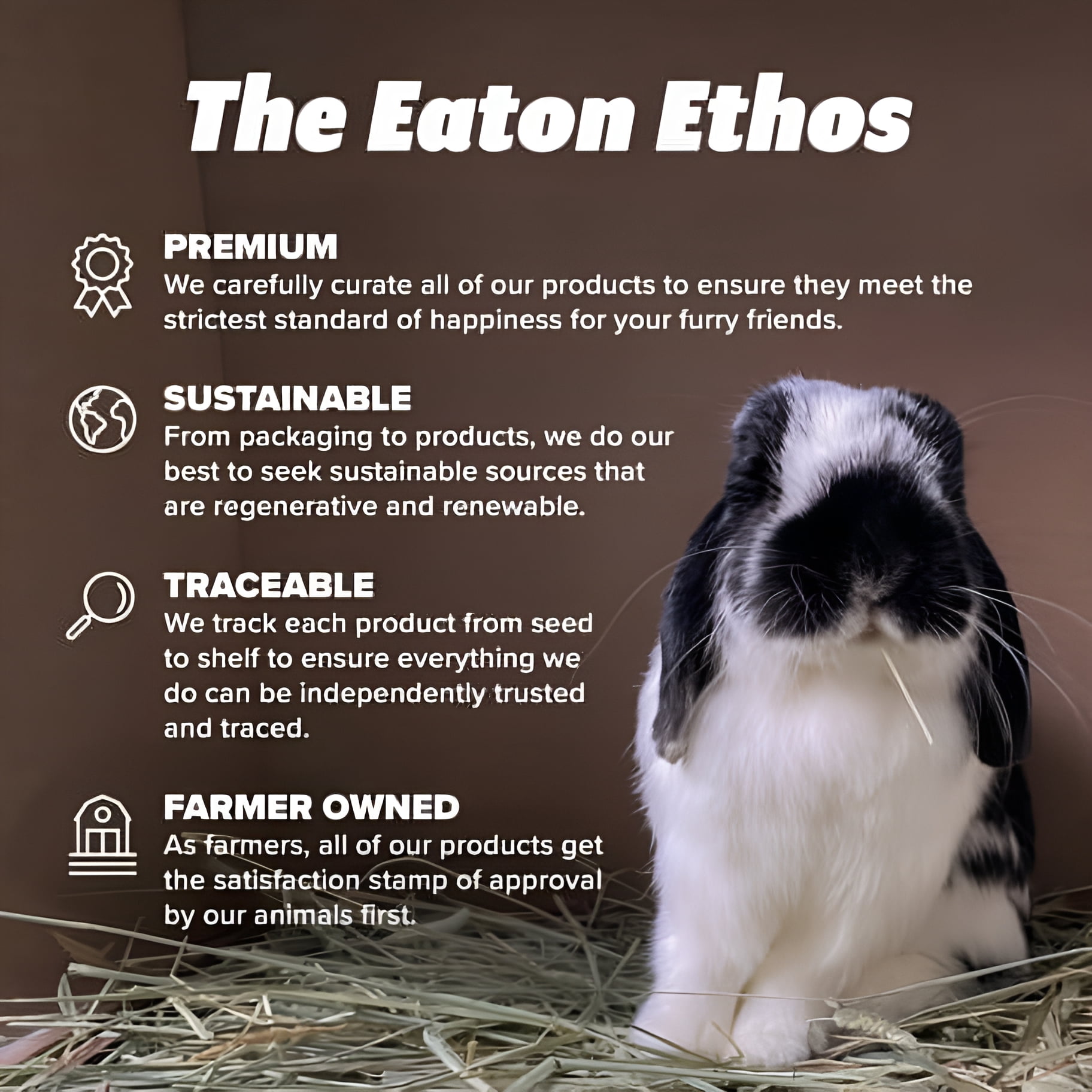 Eaton Pet and Pasture Naturally Grown, Premium, 1st Cut Western Timothy Hay Orchard Blend, Small Pet Food, Sustainable, Eco-Friendly