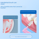 thumbnail image 2 of Cepillo interdental en forma de L, cepillo interdental para ortodoncia, cuidado general, limpieza de dientes, cepillo interdental, cepillo interdental de cerdas suaves, 2 of 6