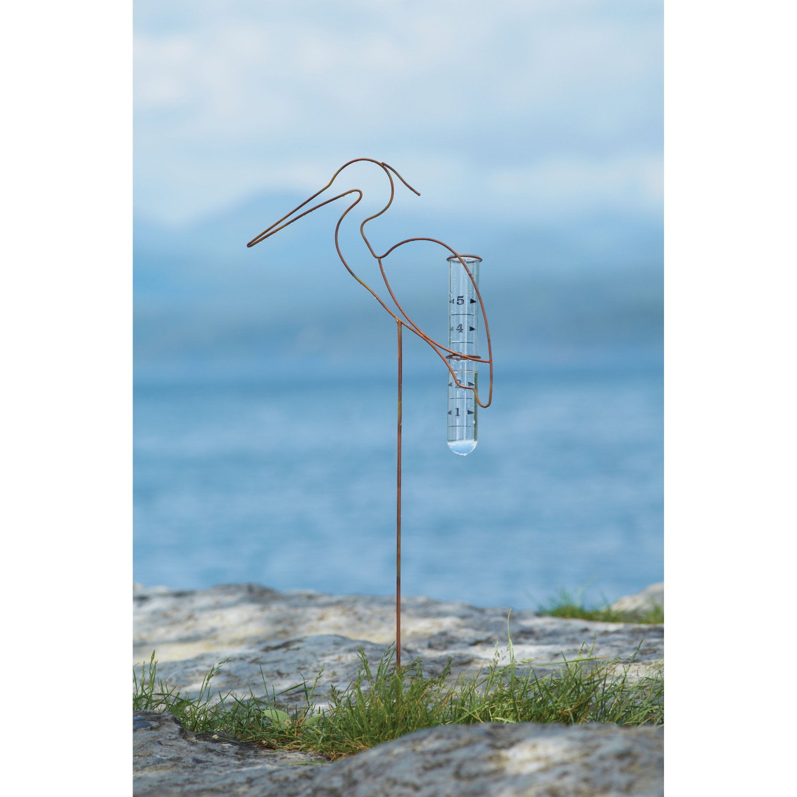 Ancient Graffiti Flamed Crane Staked Rain Gauge by