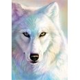 thumbnail image 1 of Kits de pintura de diamantes CHAO 5d con cabeza de lobo blanco y diamantes de imitación para niños, 1 of 5