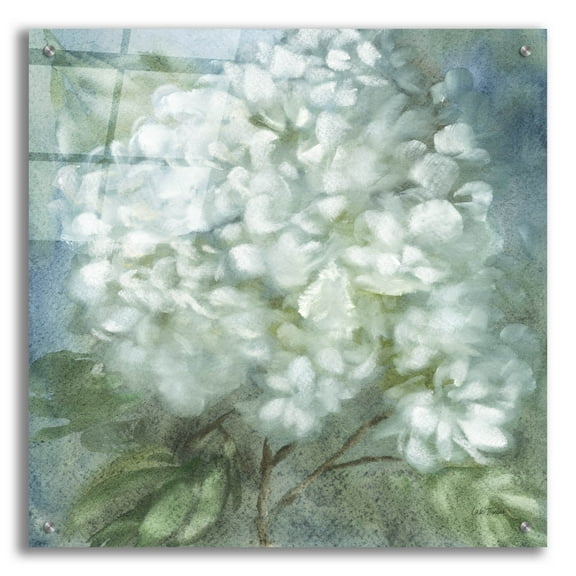 Epic Art 'Twilight Hydrangea' by Leslie Trimbach Acrylic Glass Wall Art, 24" x 24"