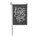 thumbnail image 1 of JSDART Hand Lettering Inspirational Carpe Diem Latin Translation Seize Garden Flag Decorative Flag House Banner 28x40 inch, 1 of 1